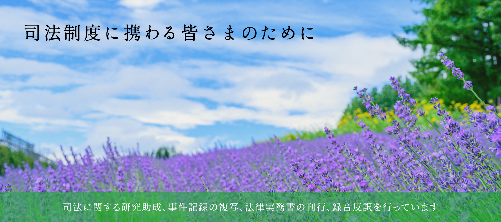 司法制度に携わる皆さまのために